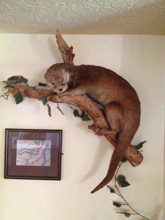 The Lazy Otter Bed & Breakfast Stretham Bagian luar foto